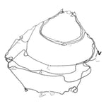 24162537