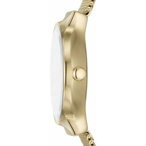 Orologio Donna Skagen SKW3084