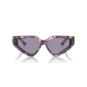 V3HAFB4BBF448B24F9D6DF9E14856B1221BR5522110P2