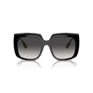 V3H5314A5B0D2213F25656D14C59C450D3FR6290489P2